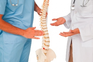 Doctors and spinal model